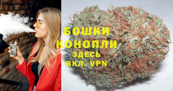 гашик Арсеньев
