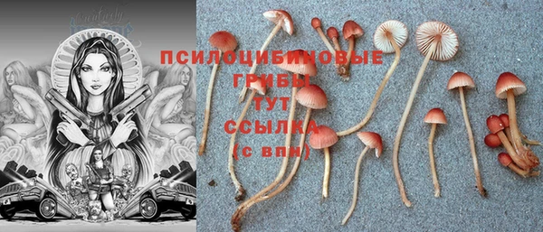 соль курить ск Балабаново